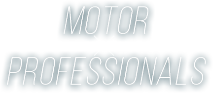 motor professionals